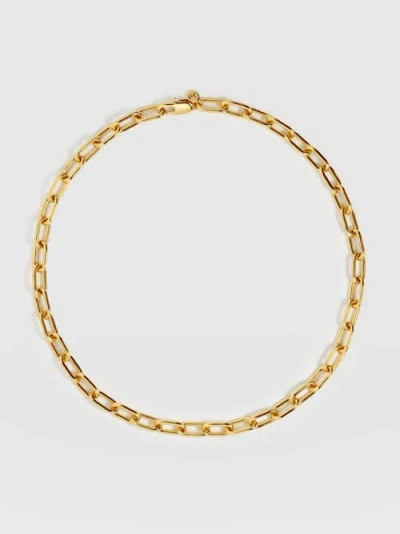 Saint + Sofia Cable Chain Necklace In Gold