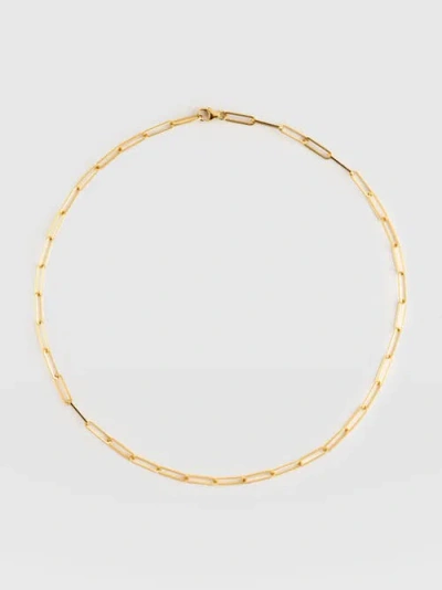 Saint + Sofia Link Chain Necklace In Gold