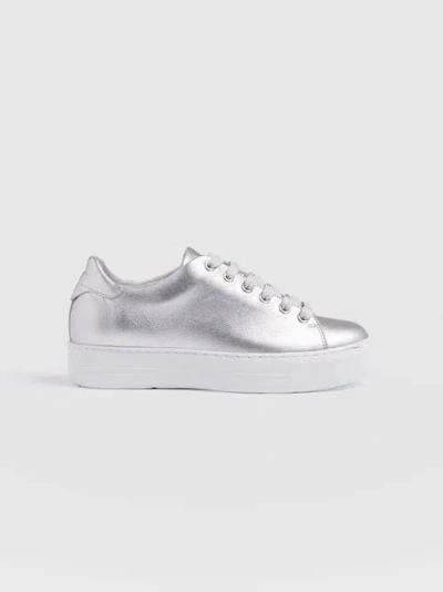 Saint + Sofia Portland Sneaker In Silver