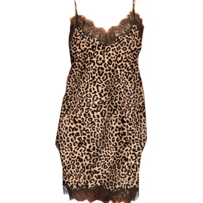 Sainted Sisters Women's Black / Neutrals  Scarlett Leopard Chemise