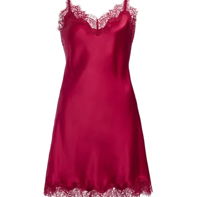 Sainted Sisters Women's Red  Scarlett Chemise In Crimson Rose In Pink