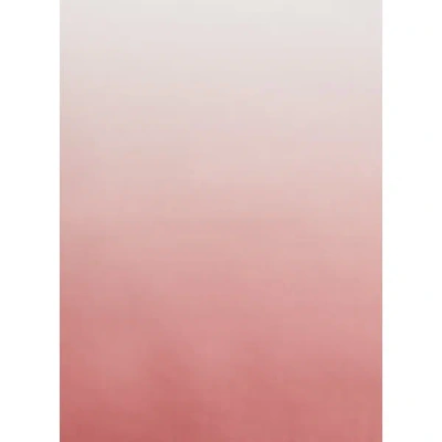 Saison 1865 Foulard Dégradé En Soie In Pink