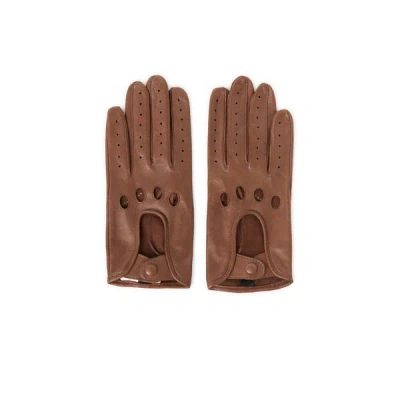 Saison 1865 Gants En Cuir In Brown