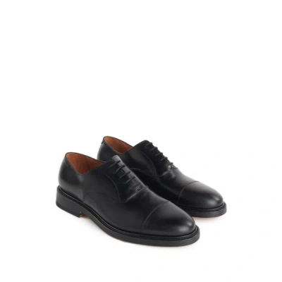 Saison 1865 Leather Brogues In Black
