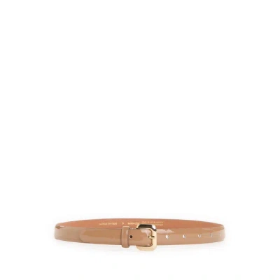Saison 1865 Patent Leather Belt In Brown
