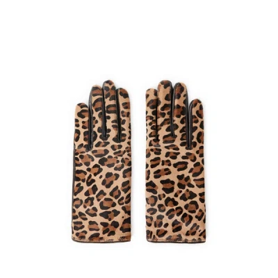 Saison 1865 Textured Leather Gloves In Brown