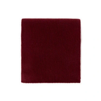 Saison 1865 Wool-blend Scarf In Red