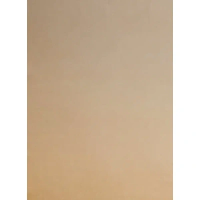 Saison Silk Scarf In Brown