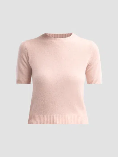 Saks Fifth Avenue Women's Basic Cashmere Shrunken Short-sleeve Crewneck Sweater In Pink
