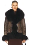 Saks Potts Shearling Bon Jacket For In Distressed Brown