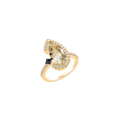 Sally Skoufis Women's Black / Gold Nourish Ring With Natural Black Diamond & Gold Rutile In 18k Gold Vermeil In Multi