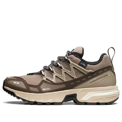 Salomon Acs + Cswp 'falcon' In Brown