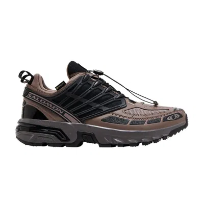 Pre-owned Salomon Acs Pro Gore-tex 'iron Plum Kitten' In Brown