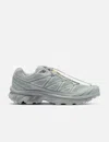 Salomon Advanced Xt-6 In Grey