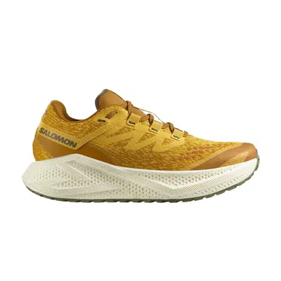 Pre-owned Salomon Aero Glide 3 Grvl 'spicy Mustard' | Yellow | Men's Size 7