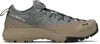 Salomon Brown & Gray Alpinway Advanced Sneakers In Sedona Sage / Fallen