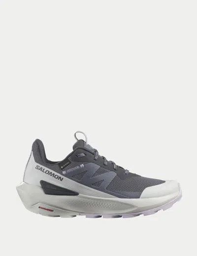 Salomon Elixir Activ Gore-tex In Grey