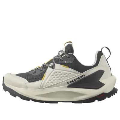 Salomon Elixir Gtx 'vanilla Ice Phantom' In Multi
