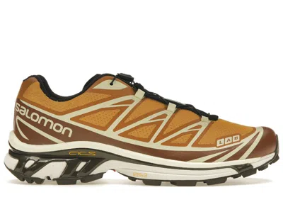 Pre-owned Salomon Men's  Xt6 End Porcini Sneakers In Sugar Almond/yellow/wren In Multi