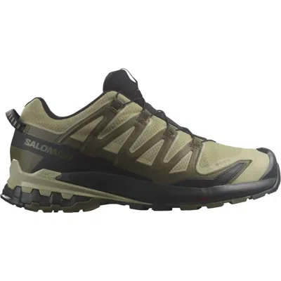 Salomon Men's Xa Pro 3d V9 Gtx Shoes In Dried Herb/black/olive Night In Green