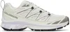 Salomon Off-white Xt-6 Expanse Sneakers In Icicle/sedona Sage/c