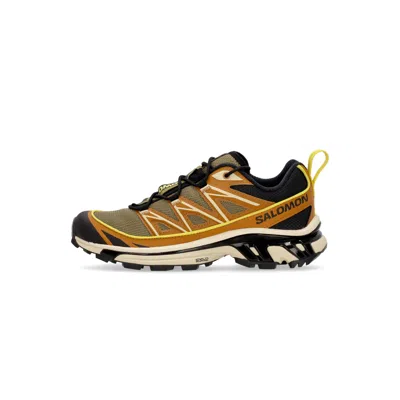 Salomon Outdoor Shoe Men's Xt-6 Expanse Cathay Spice/lizard/butter