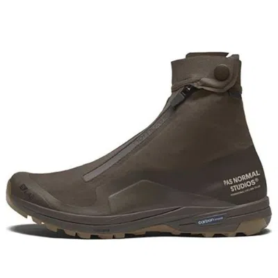 Salomon Pas Normal Studios X  Xa Alpine 2 'brown' In Green