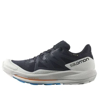 Salomon Pulsar Trail Gtx 'night Sky' In Blue