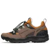 Salomon Raid Wind 75 In Brown
