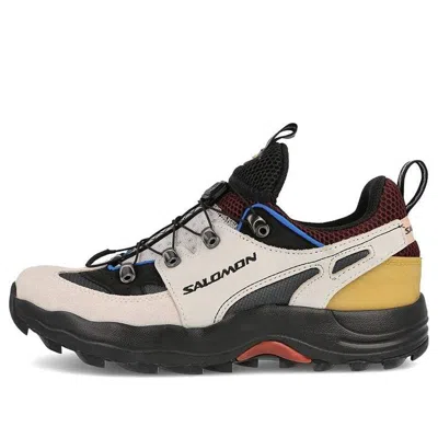 Salomon Raid Wind Advanced 'grey' In Multi