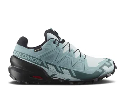 Salomon Wmns Speedcross 6 Gore-tex 'ballad Blue' In Multi
