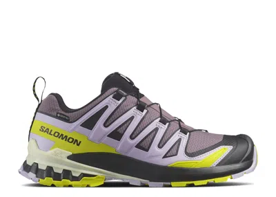 Salomon Wmns Xa Pro 3d V9 Gore-tex 'moonscape Orchid Petal Sulphur' In Multi