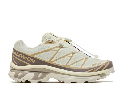 Salomon Xt-6 'vanilla Ice Iron Etherea' In Neutral