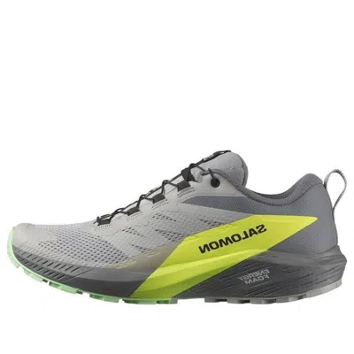 Salomon Sense Ride 5 'grey' In Gray