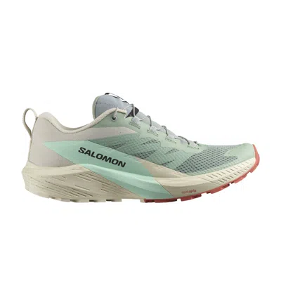 Pre-owned Salomon Sense Ride 5 'lily Pad Rainy Day' In Green