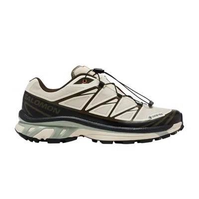 Pre-owned Salomon Sneakersnstuff X Xt-6 Gore-tex 'almond Milk Seagrass'