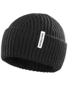 Salomon Snowbird Beanie In Black