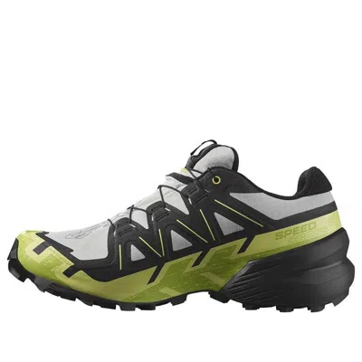 Salomon Speedcross 6 Gore-tex 'gray Green Black'