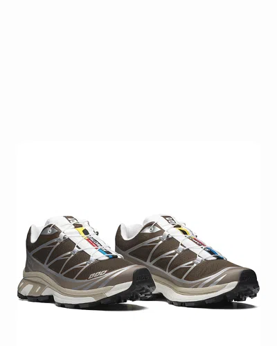 Salomon Unisex Xt-6 Running Sneakers In Rainy Day/chinchilla/dynasty Green In Brown