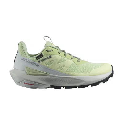Pre-owned Salomon Wmns Elixir Activ Gore-tex 'celadon Green'