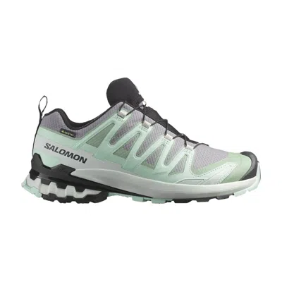 Pre-owned Salomon Wmns Xa Pro 3d V9 Gore-tex 'quiet Shade' | Grey | Women's Size 5.5 In Gray