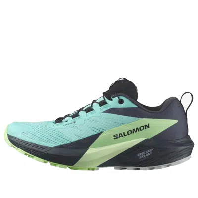 Salomon (wmns) Sense Ride 5 Gtx 'blue Radiance' In Multi