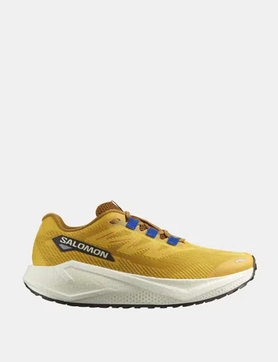 Salomon Women's Aero Blaze 3 Grvl In Gold