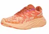 Salomon Women's Aero Glide 2 - B Running Shoe In Spirou/peachq/fsalm In Multi