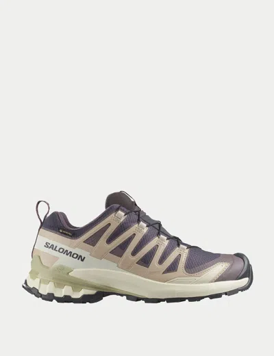 Salomon Women's Xa Pro 3d V9 Gore-tex Trail Shoes