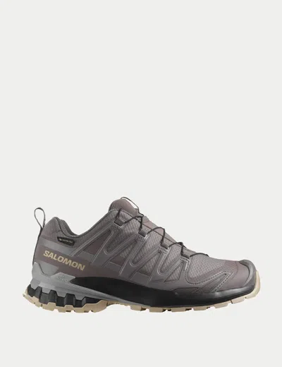 Salomon Women's Xa Pro 3d V9 Gore-tex Trail Shoes In Gray