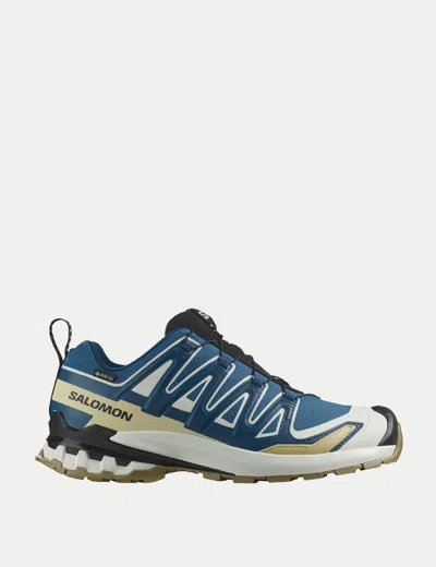 Salomon Women's Xa Pro 3d V9 Gtx In Multi