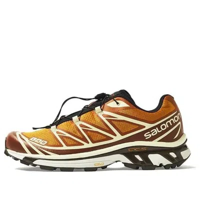 Salomon X End Xt-6 'porcini' In Multi