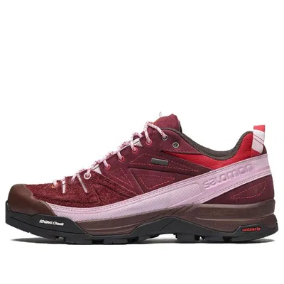 Salomon X The Broken Arm X-alpages Gtx Tba 'red Pink'