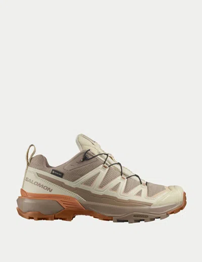Salomon X Ultra 360 Edge Gore-tex In Brown